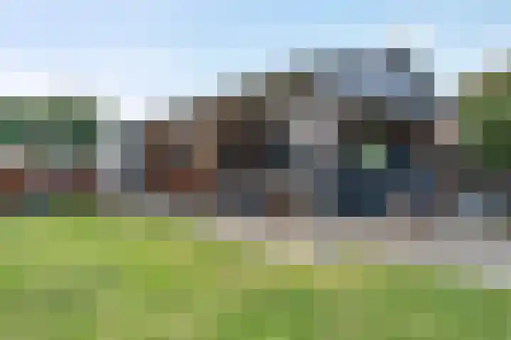 Meppelerweg 216 Onna thumbnail 11