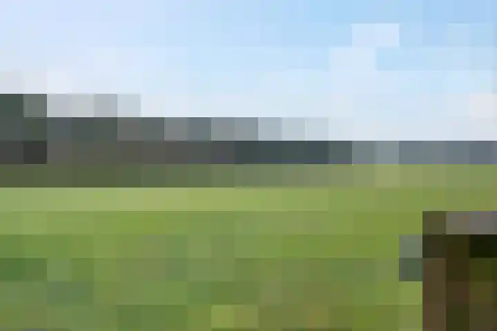 Meppelerweg 216 Onna thumbnail 12