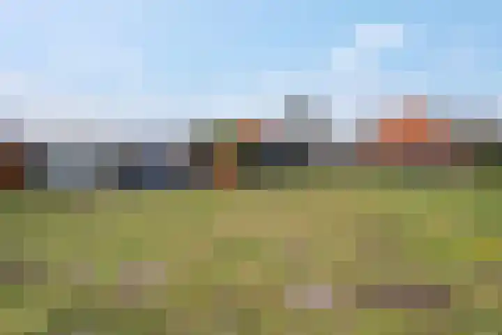 Meppelerweg 216 Onna thumbnail 13