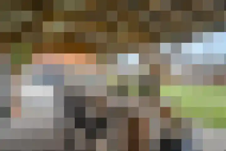 Meppelerweg 216 Onna thumbnail 15