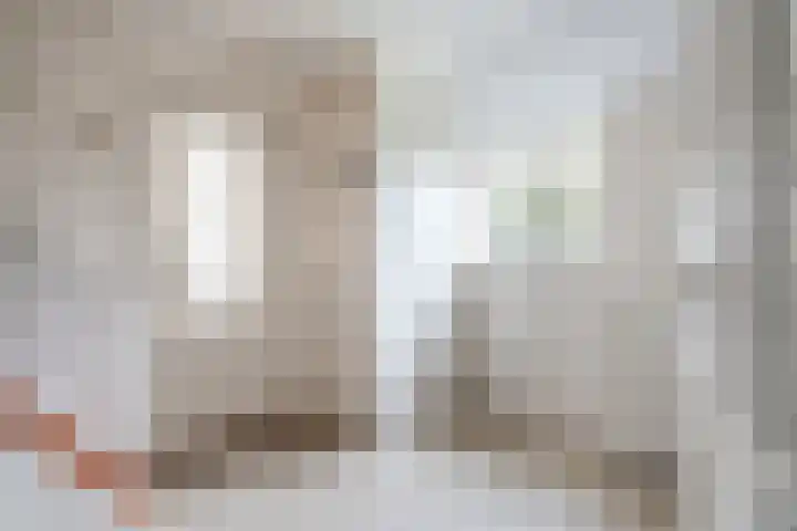 Meppelerweg 216 Onna thumbnail 20