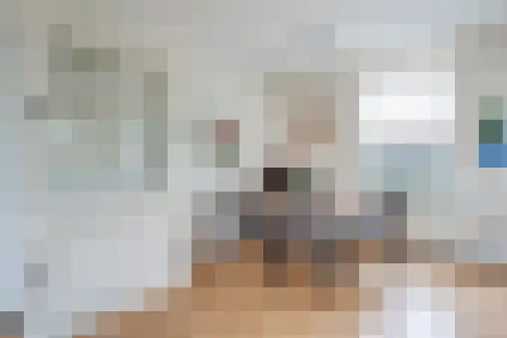 Meppelerweg 216 Onna thumbnail 24