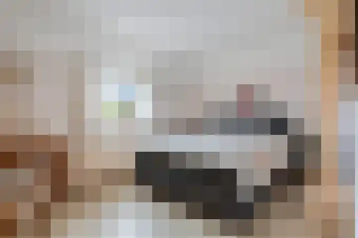 Meppelerweg 216 Onna thumbnail 31