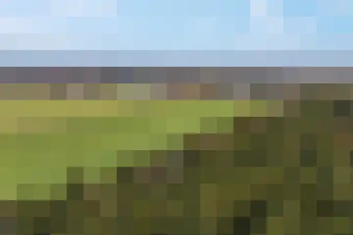 Meppelerweg 216 Onna thumbnail 44