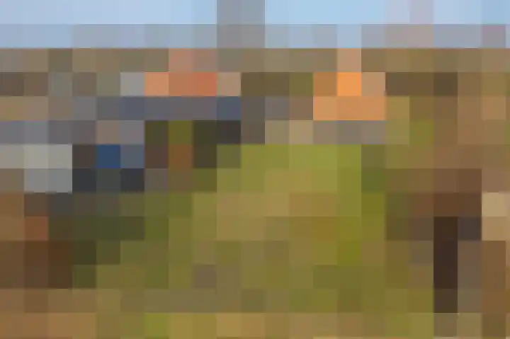 Meppelerweg 216 Onna thumbnail 46
