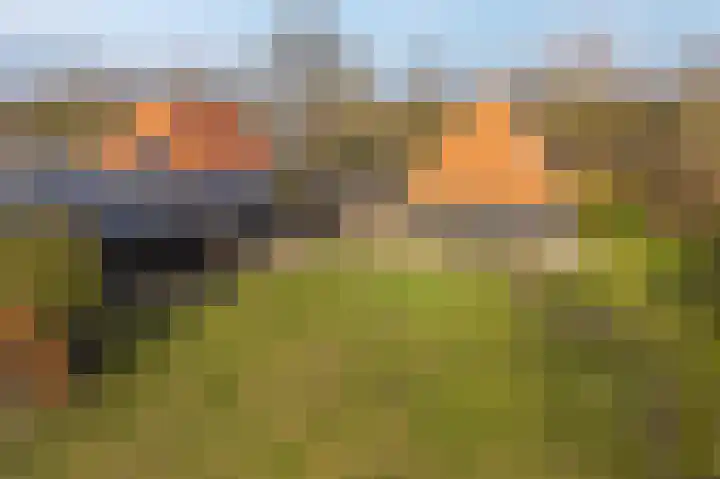 Meppelerweg 216 Onna thumbnail 47