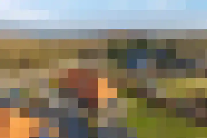 Meppelerweg 216 Onna thumbnail 48