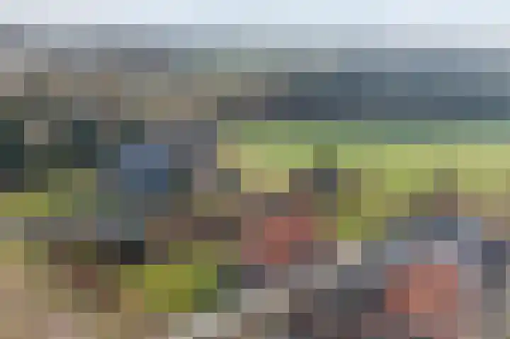 Meppelerweg 216 Onna thumbnail 49