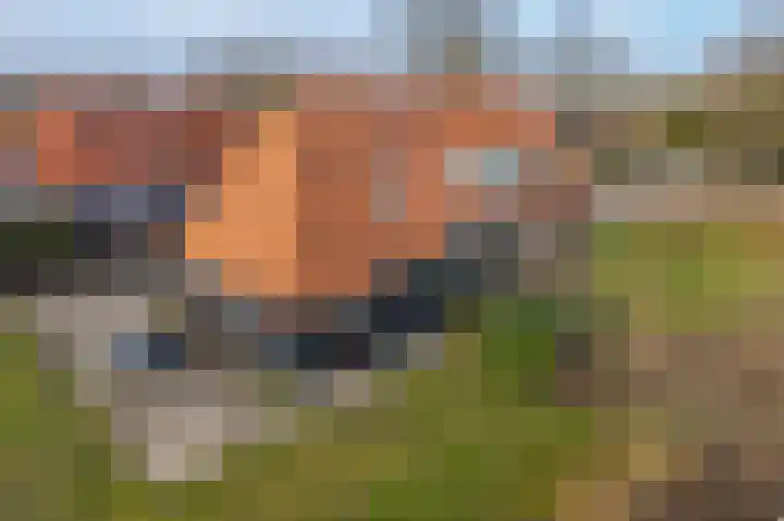 Meppelerweg 216 Onna thumbnail 50