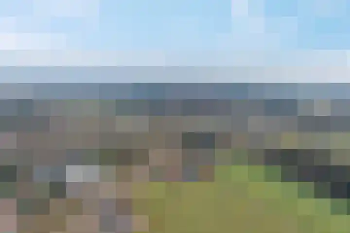 Meppelerweg 216 Onna thumbnail 51
