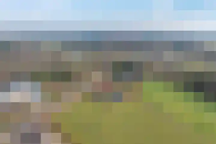 Meppelerweg 216 Onna thumbnail 52