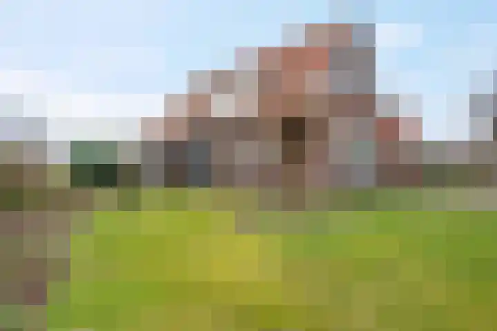 Meppelerweg 216 Onna thumbnail 6