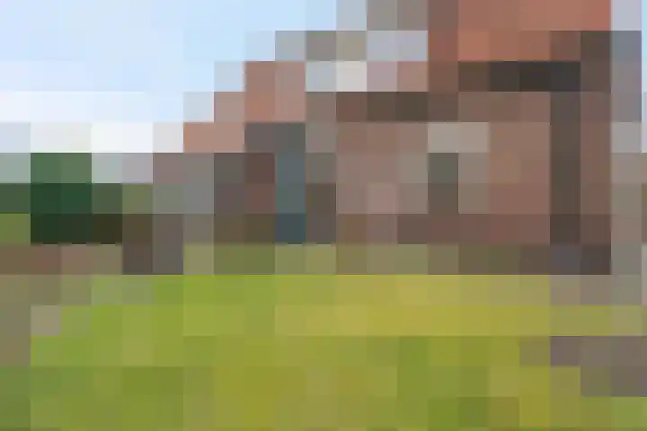 Meppelerweg 216 Onna thumbnail 7