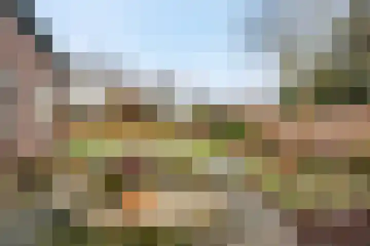 Meppelerweg 216 Onna thumbnail 8