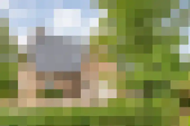 Meppelerweg 30 Ruinen thumbnail 10