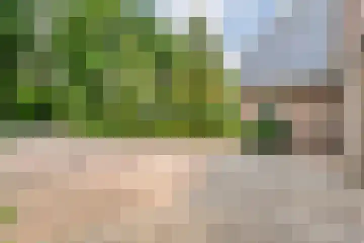 Meppelerweg 30 Ruinen thumbnail 11