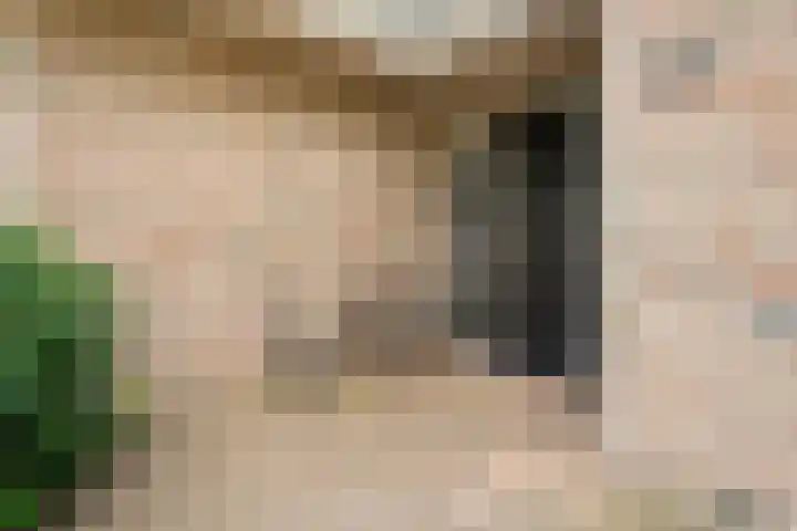 Meppelerweg 30 Ruinen thumbnail 12