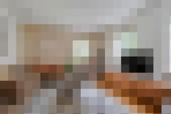 Meppelerweg 30 Ruinen thumbnail 15