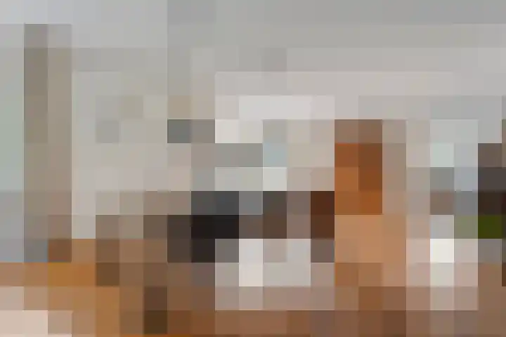 Meppelerweg 30 Ruinen thumbnail 17