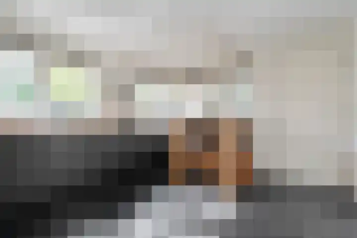 Meppelerweg 30 Ruinen thumbnail 18