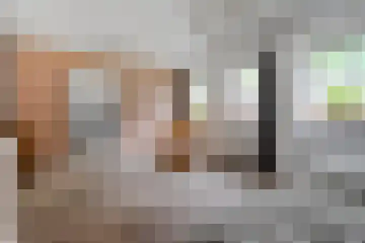 Meppelerweg 30 Ruinen thumbnail 23