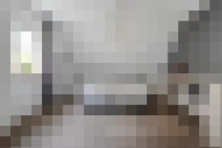 Meppelerweg 30 Ruinen thumbnail 24