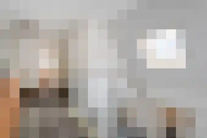 Meppelerweg 30 Ruinen thumbnail 29