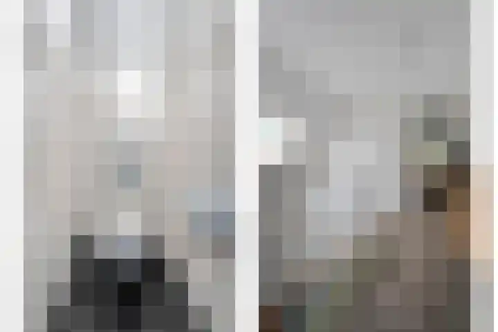 Meppelerweg 30 Ruinen thumbnail 30