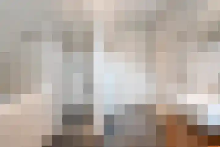 Meppelerweg 30 Ruinen thumbnail 32