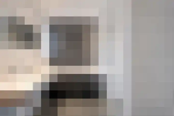 Meppelerweg 30 Ruinen thumbnail 35