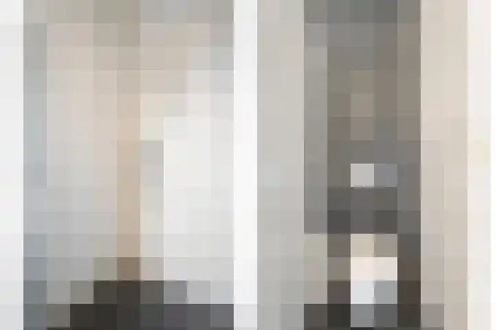 Meppelerweg 30 Ruinen thumbnail 36