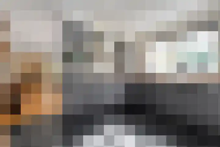Meppelerweg 30 Ruinen thumbnail 4