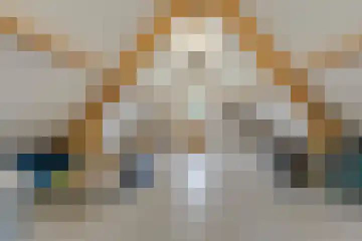 Meppelerweg 30 Ruinen thumbnail 41
