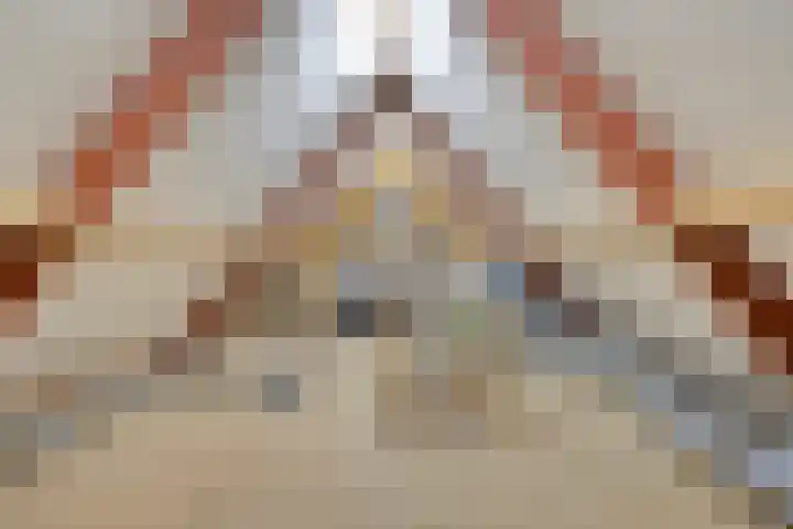 Meppelerweg 30 Ruinen thumbnail 43