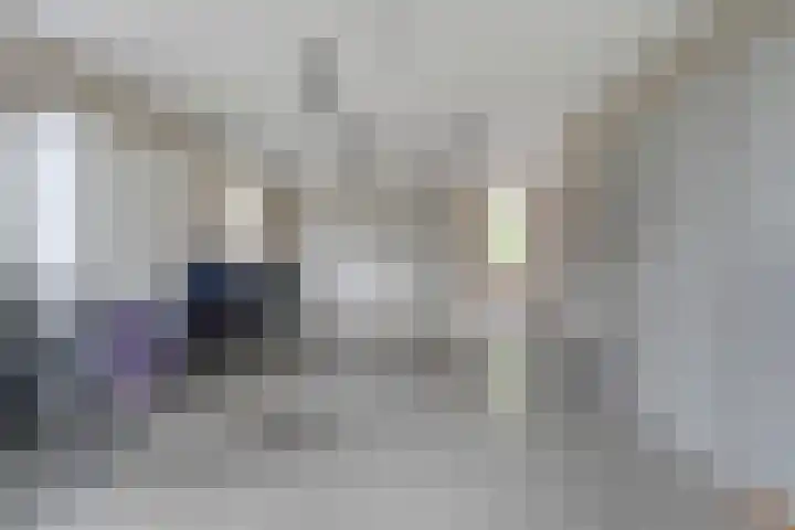 Meppelerweg 30 Ruinen thumbnail 45