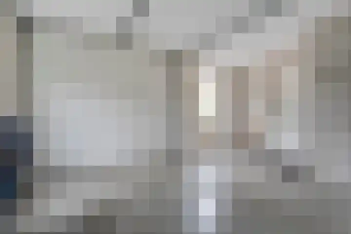 Meppelerweg 30 Ruinen thumbnail 46