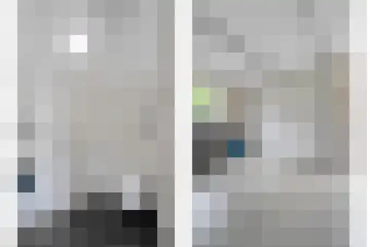 Meppelerweg 30 Ruinen thumbnail 47