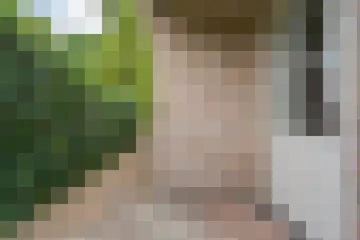 Meppelerweg 30 Ruinen thumbnail 48