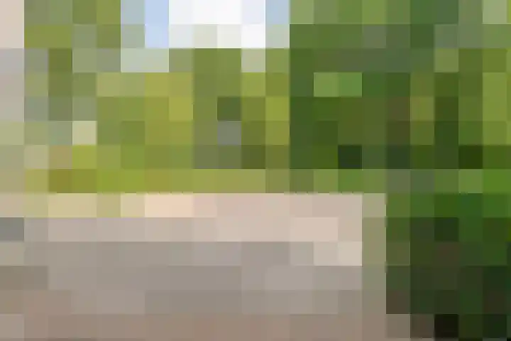 Meppelerweg 30 Ruinen thumbnail 49