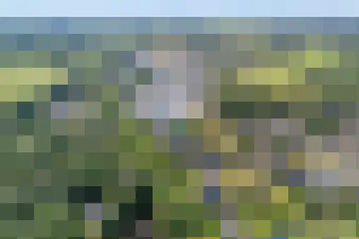 Meppelerweg 30 Ruinen thumbnail 5