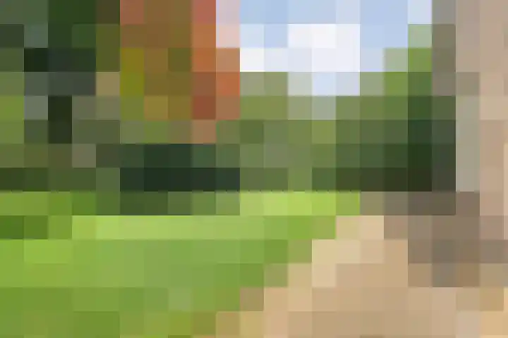 Meppelerweg 30 Ruinen thumbnail 50