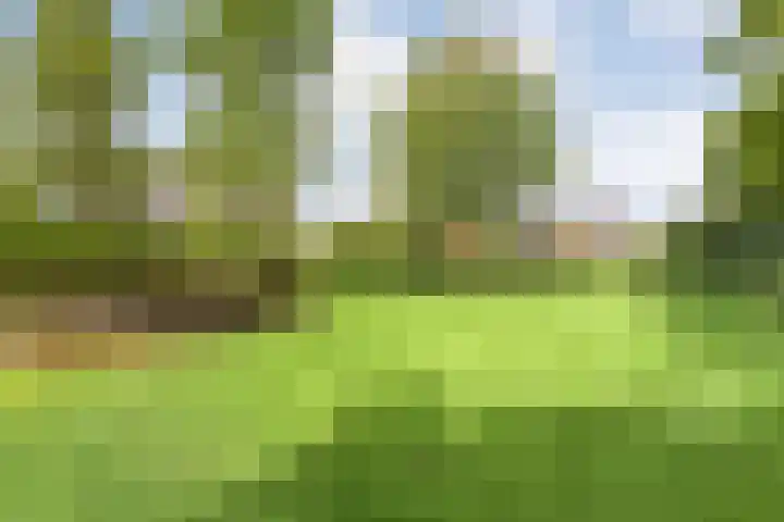 Meppelerweg 30 Ruinen thumbnail 52