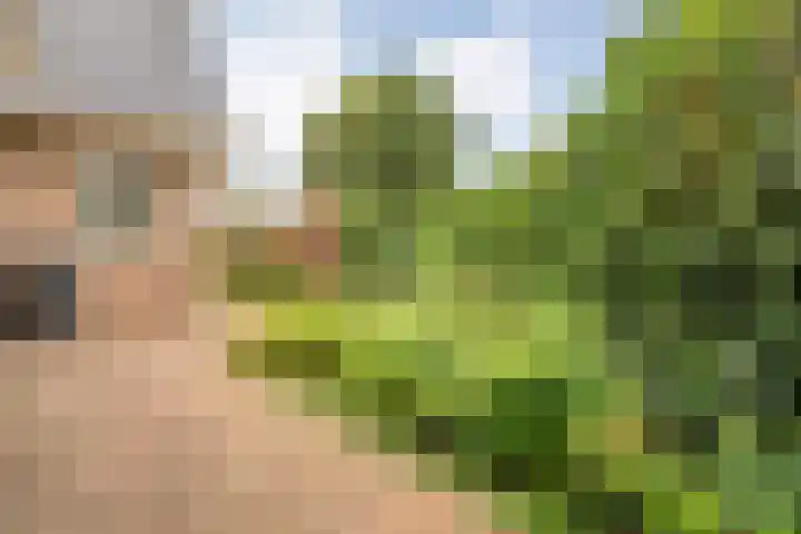 Meppelerweg 30 Ruinen thumbnail 53