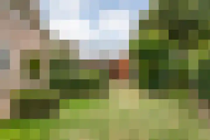 Meppelerweg 30 Ruinen thumbnail 54