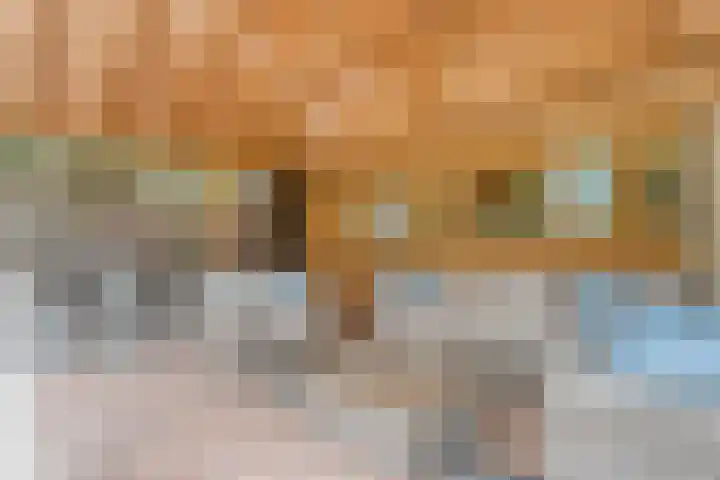 Meppelerweg 30 Ruinen thumbnail 56