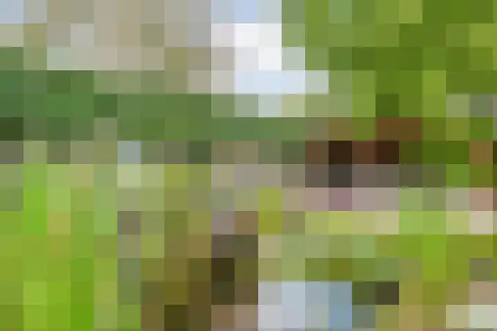 Meppelerweg 30 Ruinen thumbnail 58