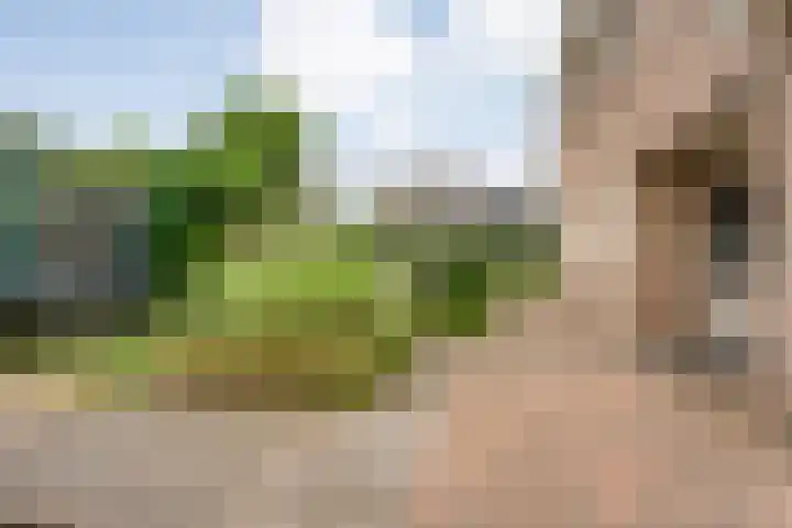 Meppelerweg 30 Ruinen thumbnail 59