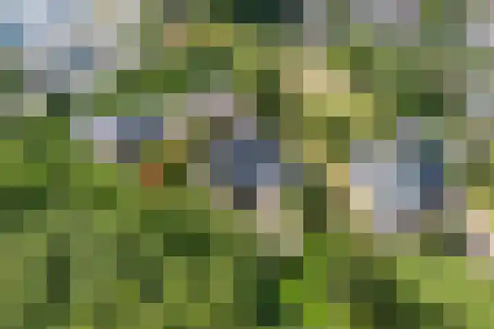 Meppelerweg 30 Ruinen thumbnail 6
