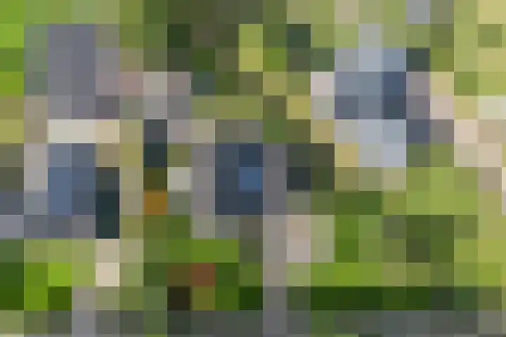 Meppelerweg 30 Ruinen thumbnail 60