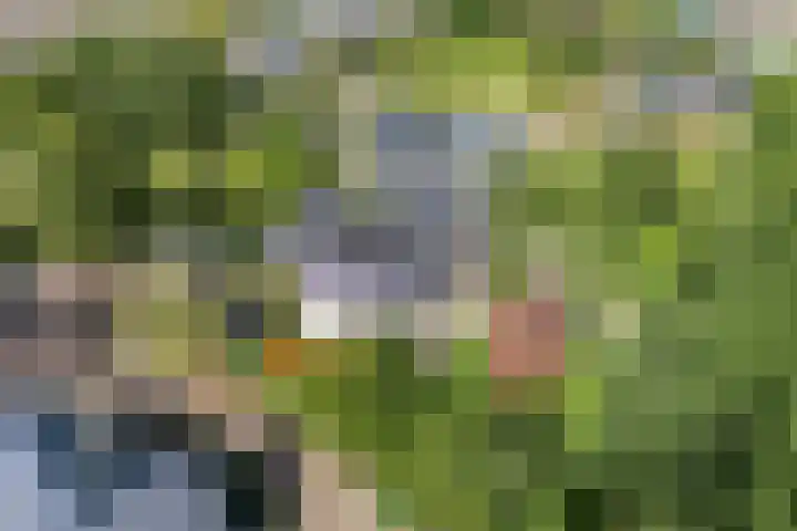 Meppelerweg 30 Ruinen thumbnail 61